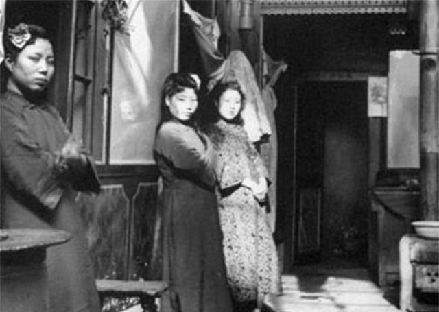 深山有虎惊百兽，天下太平人人欢打一生肖仔细释义、解释与落实、时代解答解释落实